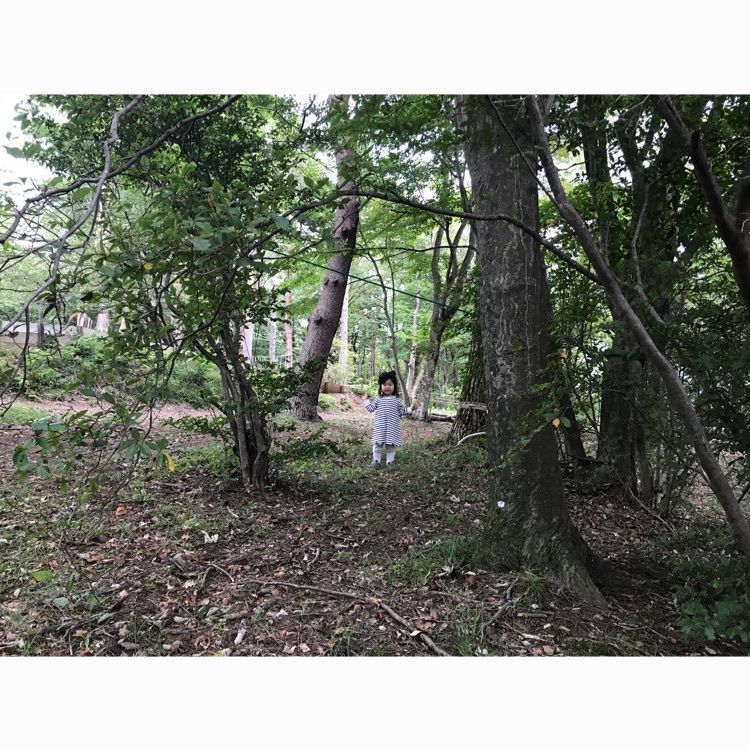 yukayuka26a さんが投稿した那須の森の空中アスレチック『NOZARU』に関する口コミの画像