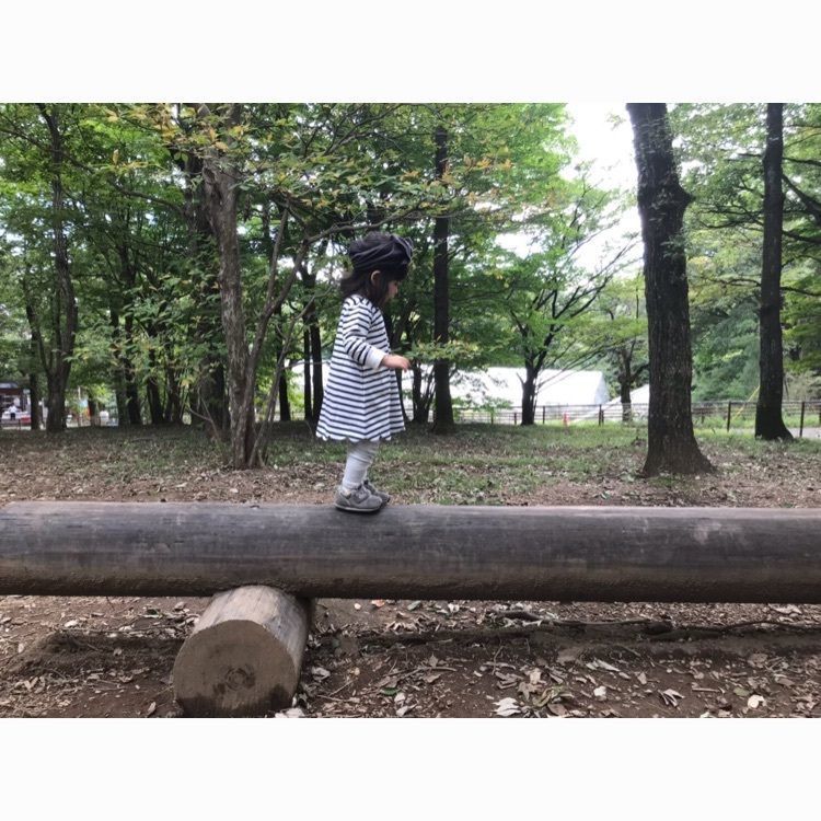 yukayuka26a さんが投稿した那須の森の空中アスレチック『NOZARU』に関する口コミの画像