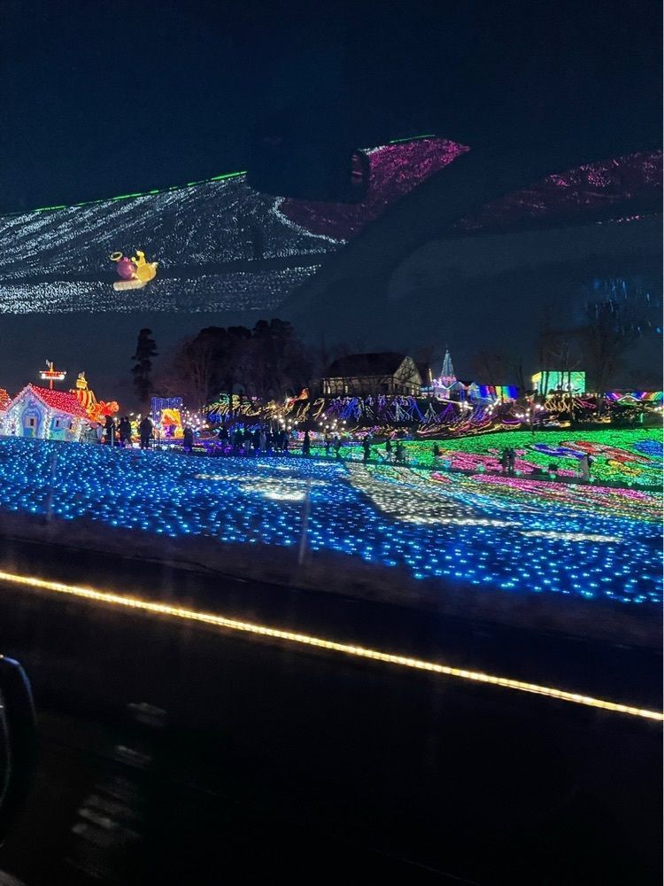 かんしりんさんが投稿した東京ドイツ村 サンライズファームに関する口コミの画像