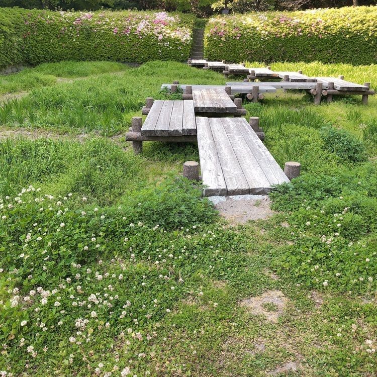 mimiさんが投稿した永源山公園／つつじに関する口コミの画像