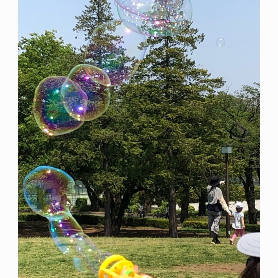 キミちゃんさんが投稿した画像の画像