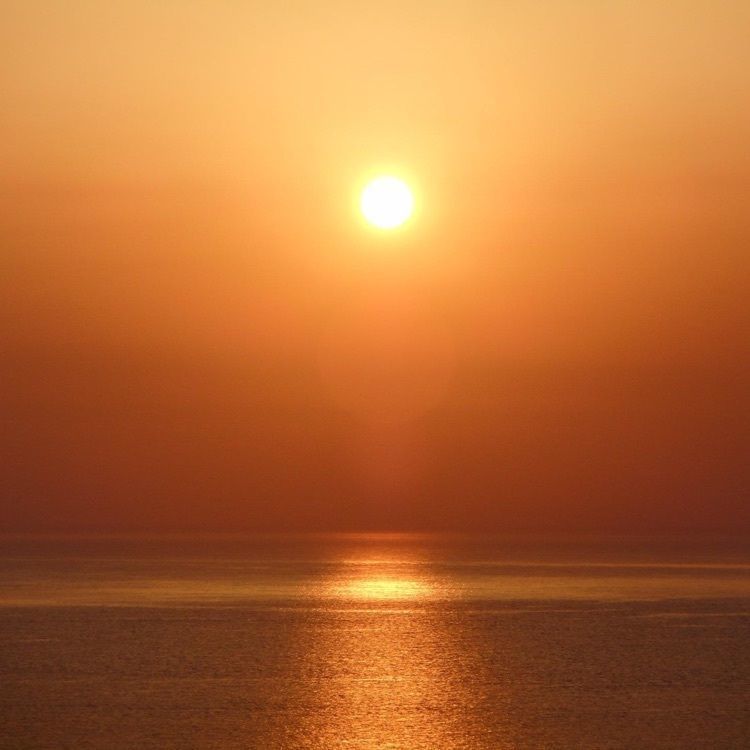 ＤＪゴン太さんが投稿した瀬戸内海中公園に関する口コミの画像