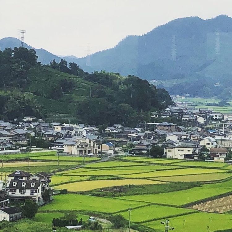 ＤＪゴン太さんが投稿した天空カフェに関する口コミの画像