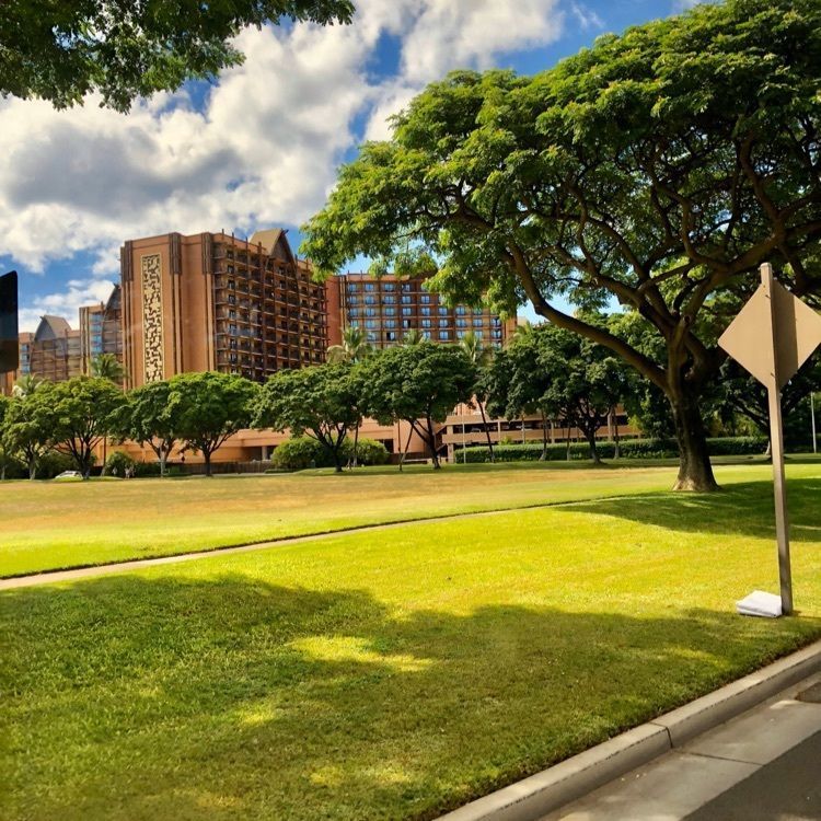 chou chou tabiさんが投稿したBills Hawaiiに関する口コミの画像