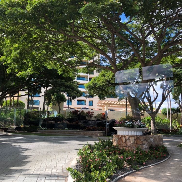 chou chou tabiさんが投稿したBills Hawaiiに関する口コミの画像