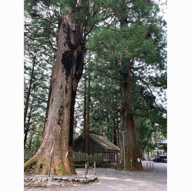 Howl Monさんが投稿したさかな工房 気田川（ケタガワ）に関する口コミの画像