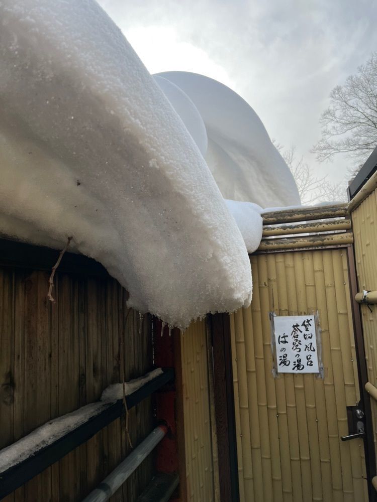 やすこさんが投稿した加仁湯に関する口コミの画像