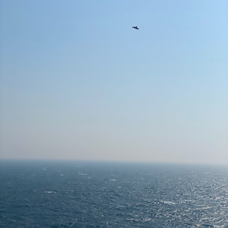 かよこさんが投稿した城ヶ島大橋に関する口コミの画像