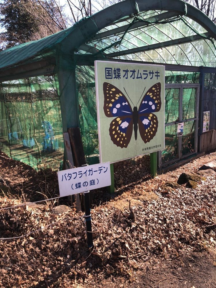 からっ風②さんが投稿した香縁（コウエン）に関する口コミの画像