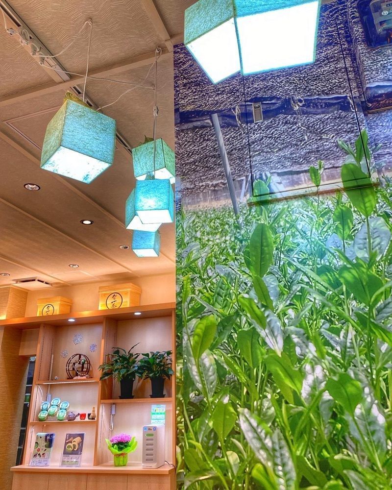 ajisaiさんが投稿した雷一茶 伝法院通り店に関する口コミの画像