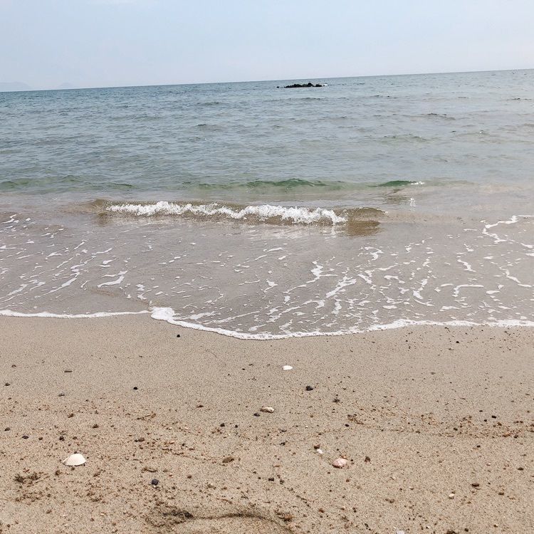 mimiさんが投稿した牧場のソフト 虹ヶ浜店に関する口コミの画像