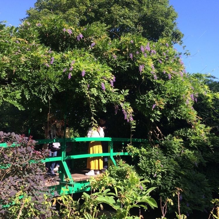 Akemiさんが投稿したジヴェルニーに関する口コミの画像