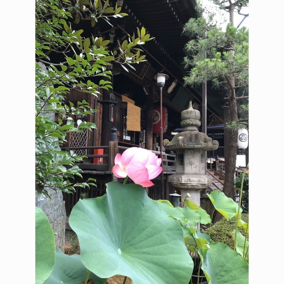 ＫMＴKさんが投稿した行願寺（革堂）に関する口コミの画像