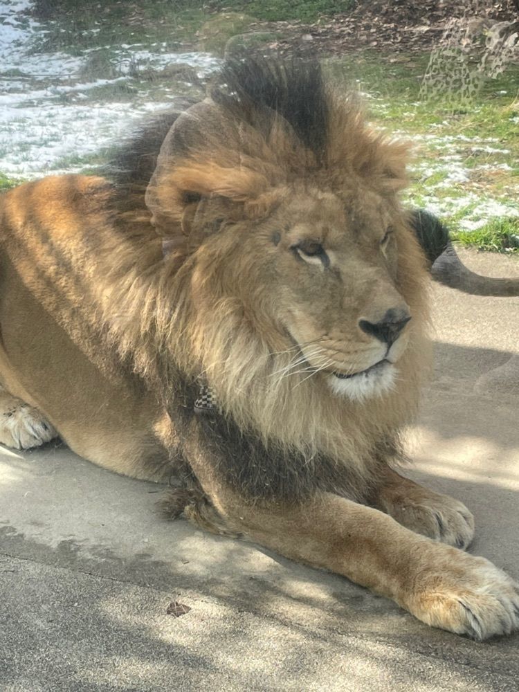 みーなさんが投稿した広島市安佐動物公園に関する口コミの画像