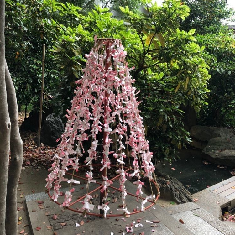 chiakiiiさんが投稿した生田神社に関する口コミの画像