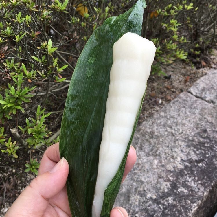 みーなさんが投稿した桜庵　三木屋に関する口コミの画像