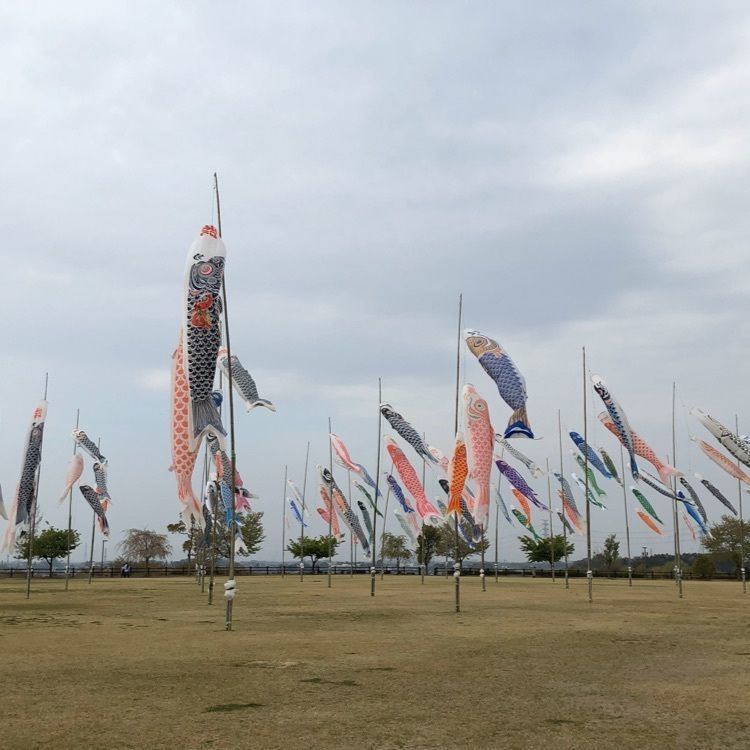 あ~ちんさんが投稿したおおたイルミネーションに関する口コミの画像