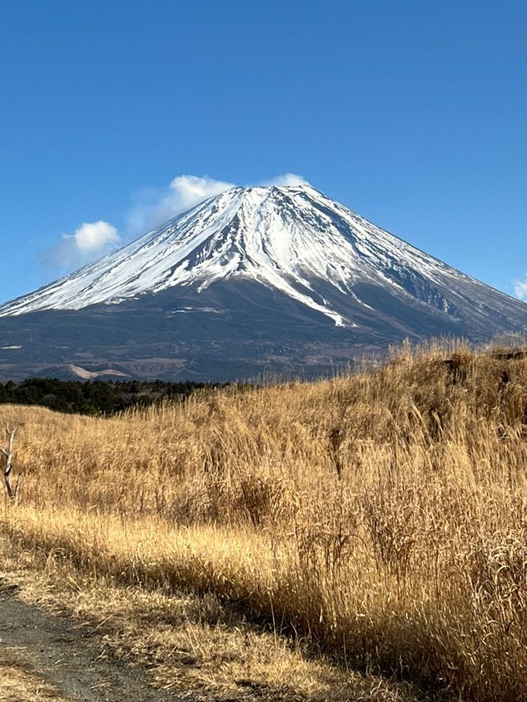 ビンカさんが投稿した天子の森キャンプ場に関する口コミの画像