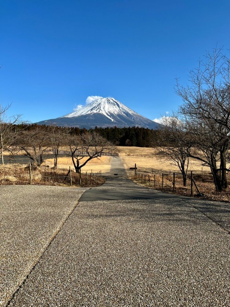 ビンカさんが投稿した天子の森キャンプ場に関する口コミの画像