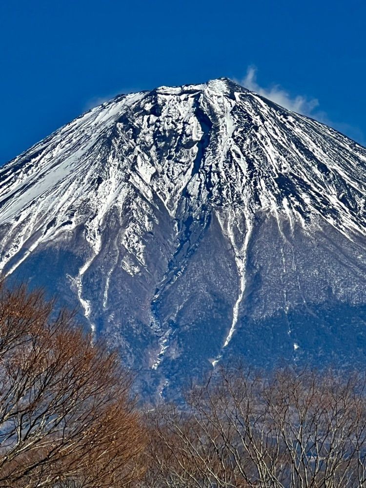 ビンカさんが投稿した天子の森キャンプ場に関する口コミの画像