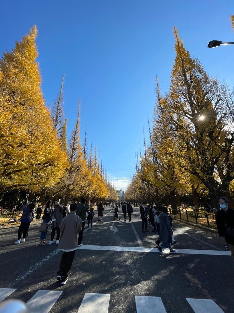 ☆さんが投稿した神宮外苑 いちょう並木に関する口コミの画像