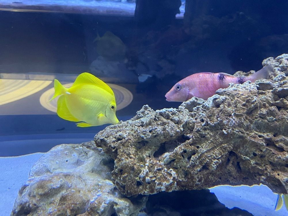 ☆さんが投稿したすみだ水族館に関する口コミの画像