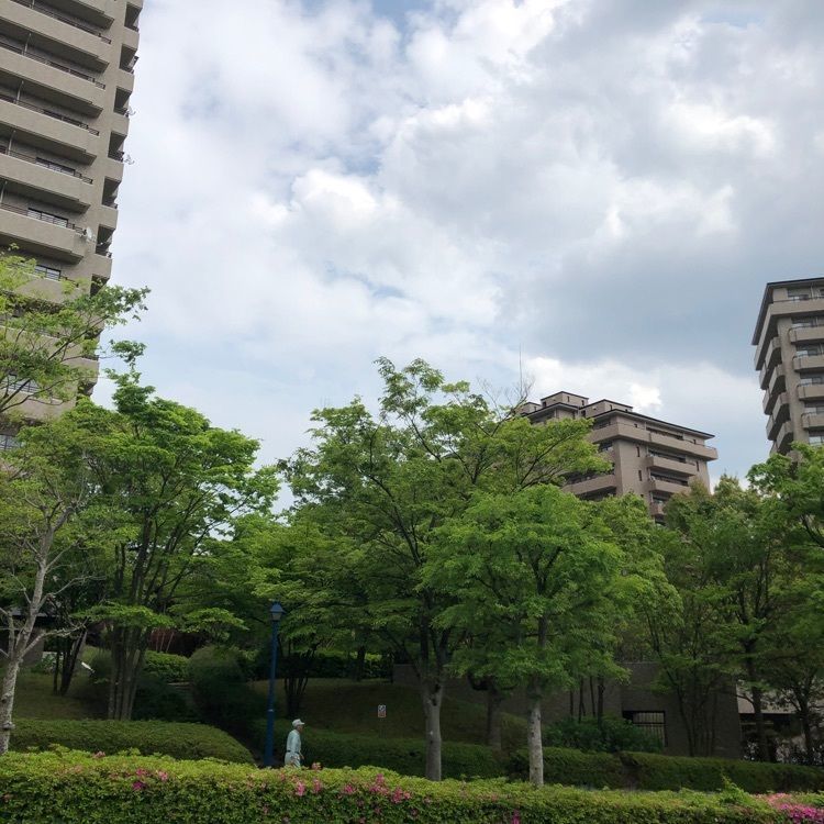 powerful_market_df3aさんが投稿したル・ジャルダン・デュ・ベール（Le jardin du Vert）に関する口コミの画像