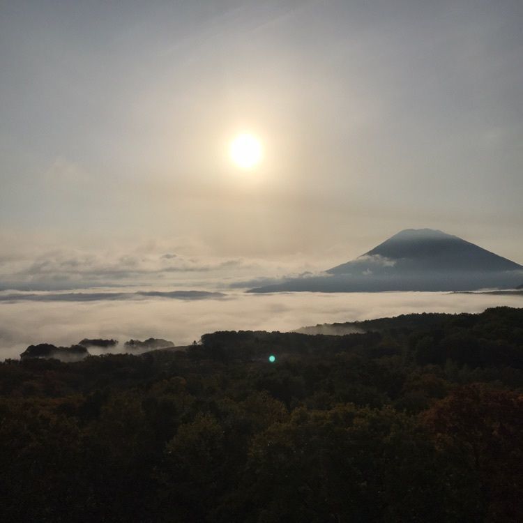 🐻森のくまさんさんが投稿したニセコワイス寶亭留（ニセコワイスホテル）に関する口コミの画像