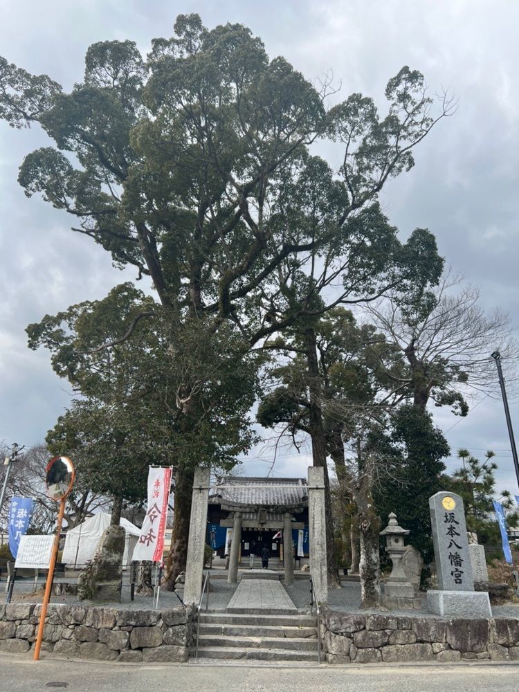 Rhapsodyさんが投稿した坂本八幡宮に関する口コミの画像