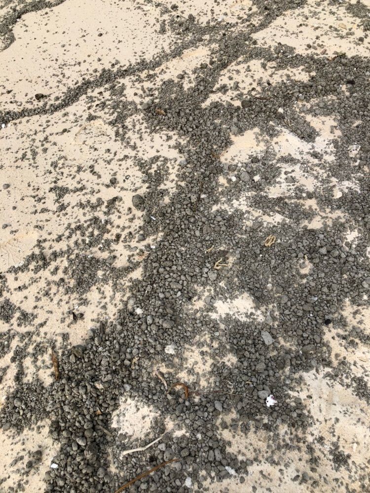 miwaさんが投稿したヒルトン沖縄瀬底リゾート（Hilton Okinawa Sesoko Resort）に関する口コミの画像