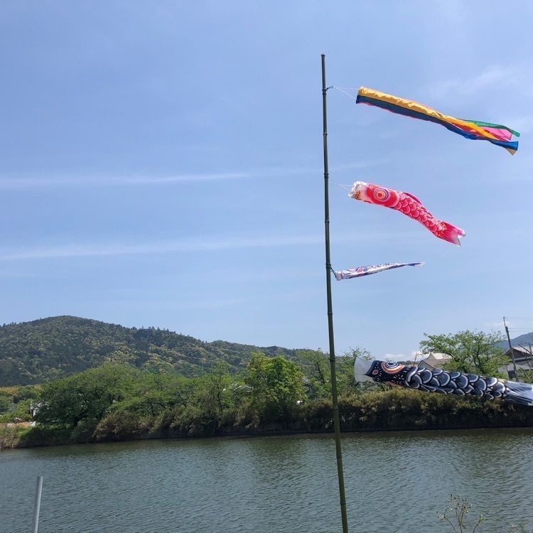 レティシアさんが投稿した三輪に関する口コミの画像
