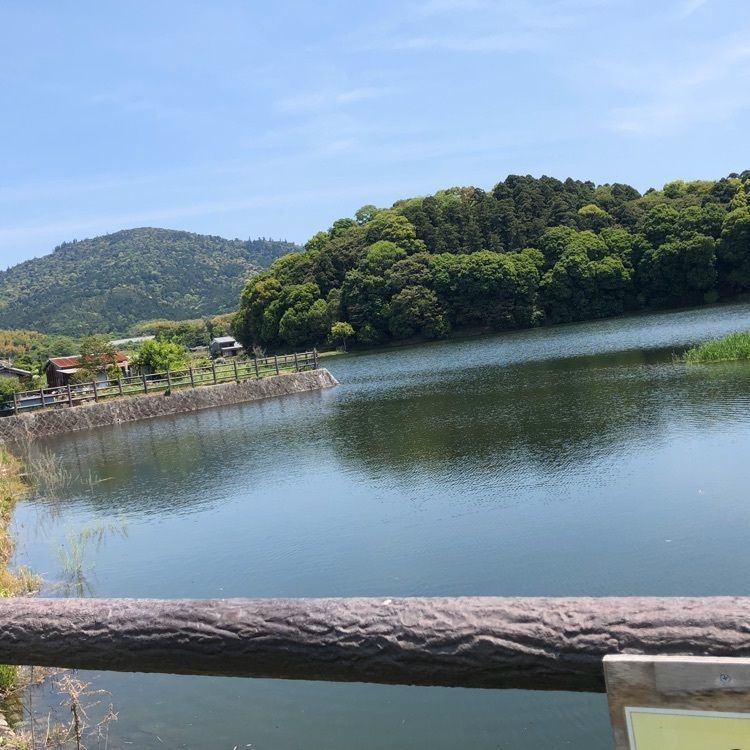 レティシアさんが投稿した三輪に関する口コミの画像