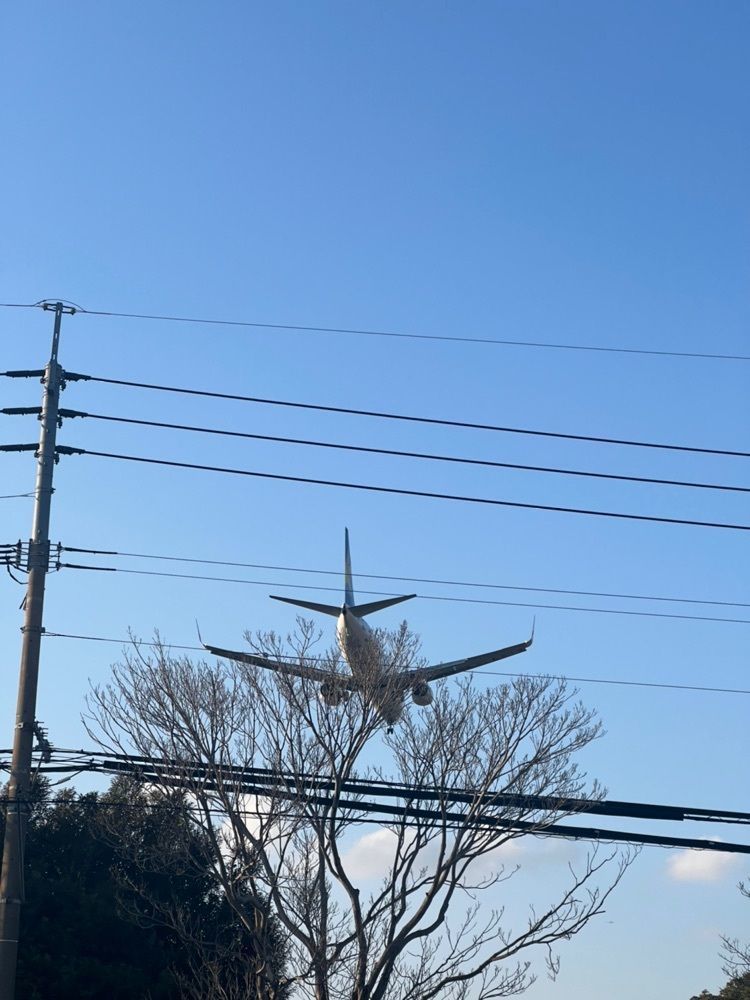 Rhapsodyさんが投稿した長浜ラーメン小太郎　太宰府店に関する口コミの画像
