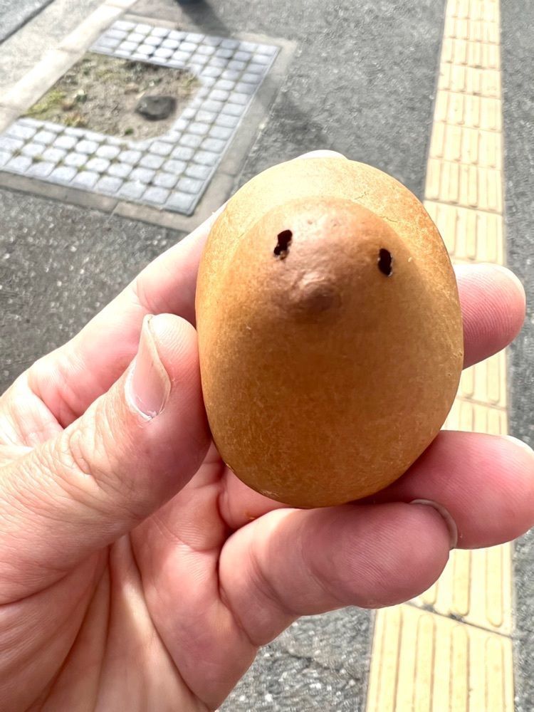 Rhapsodyさんが投稿したひよ子本舗吉野堂 向新町店に関する口コミの画像