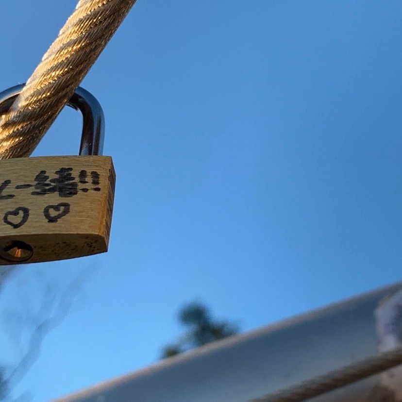 あやのんさんが投稿したビーナスブリッジに関する口コミの画像