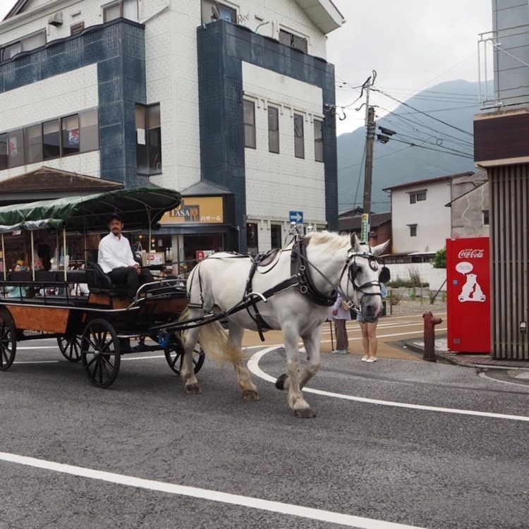 なおなおさんが投稿した由布院市に関する口コミの画像