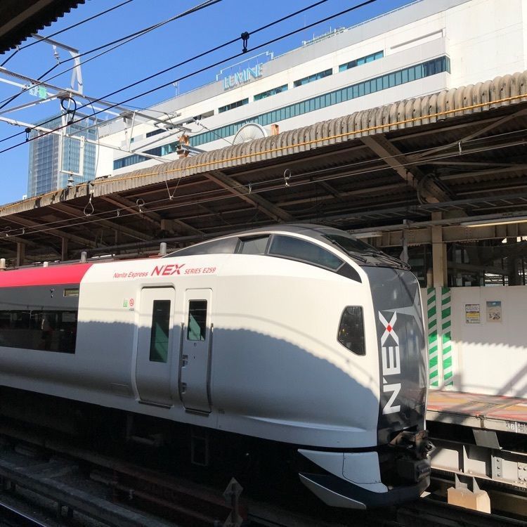MICHIさんが投稿した崎陽軒 横浜駅中央店に関する口コミの画像