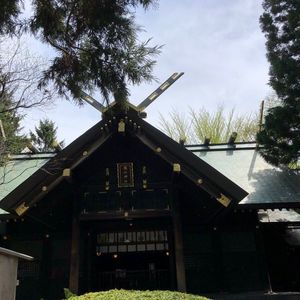 琴似神社 1枚目