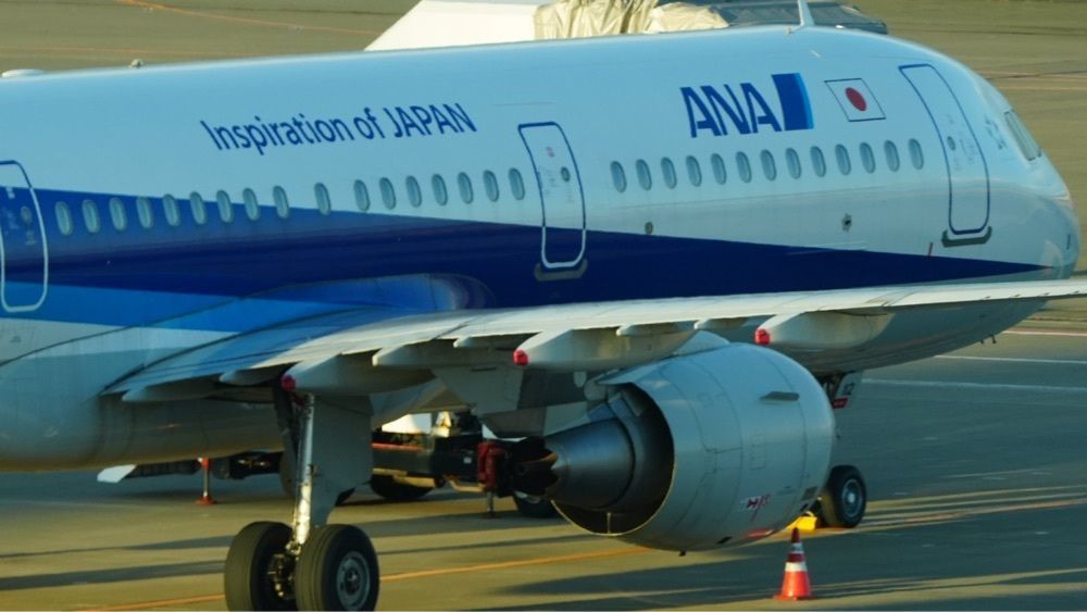 jamesさんが投稿したMade in ピエール・エルメ 羽田空港（Made in PIERRE HERME）に関する口コミの画像