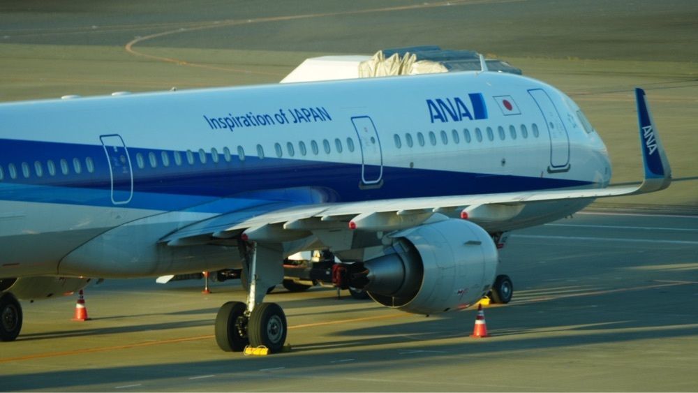 jamesさんが投稿したMade in ピエール・エルメ 羽田空港（Made in PIERRE HERME）に関する口コミの画像