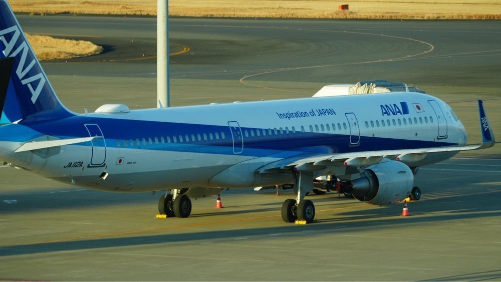 jamesさんが投稿したMade in ピエール・エルメ 羽田空港（Made in PIERRE HERME）に関する口コミの画像