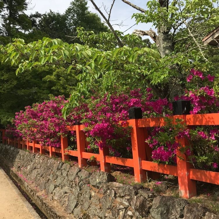 NBR OTさんが投稿した大田神社に関する口コミの画像