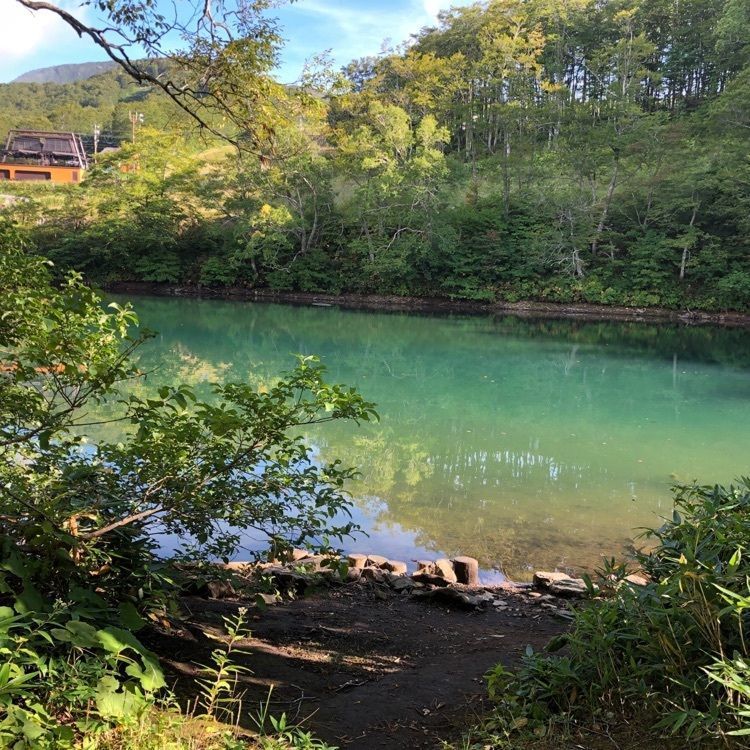 たいやきさんが投稿したドッコ沼に関する口コミの画像