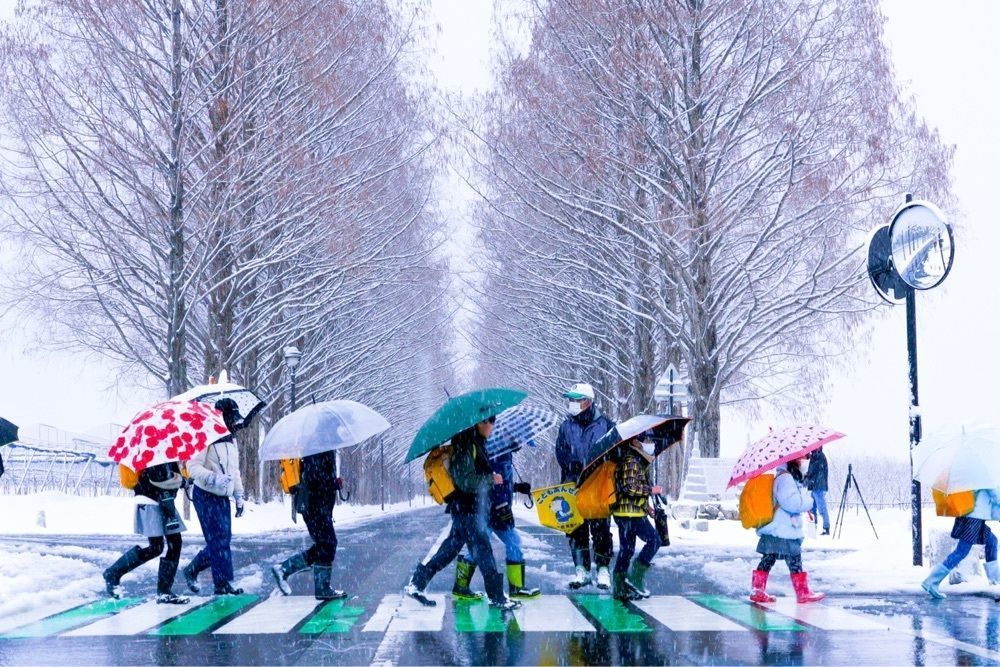 Tettsuさんが投稿したメタセコイア並木に関する口コミの画像