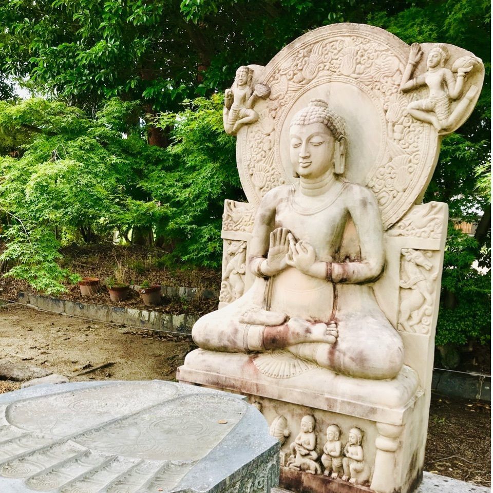 ＫMＴKさんが投稿した喜光寺の蓮に関する口コミの画像