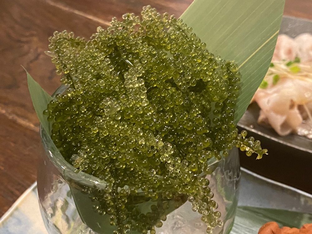大阪大好きマン。さんが投稿した沖縄酒場ハイサイ 大阪駅前第一ビル店（【旧店名】沖縄キッチン てりとりー）に関する口コミの画像