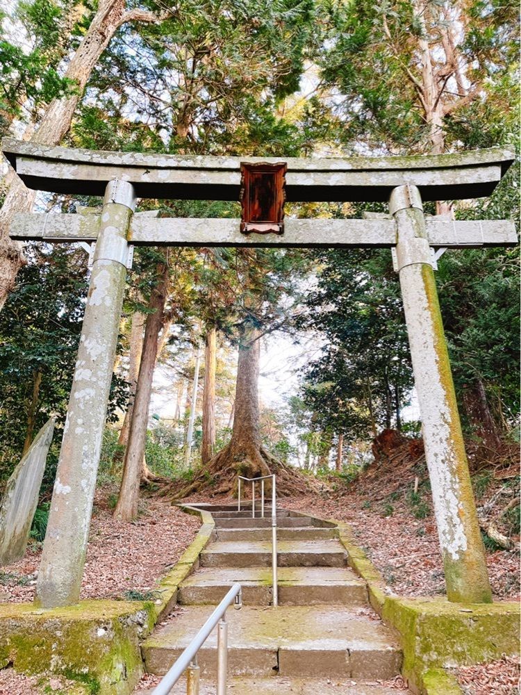 猫なぎ。さんが投稿した鼻節神社に関する口コミの画像