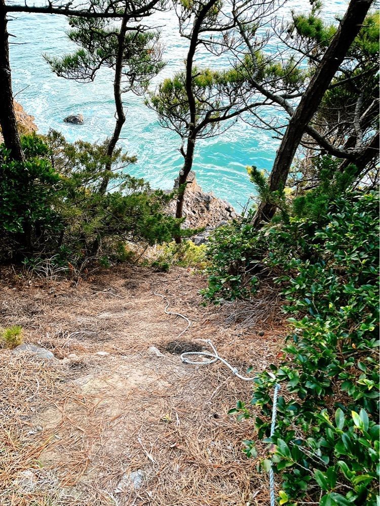 猫なぎ。さんが投稿した七ヶ浜町に関する口コミの画像
