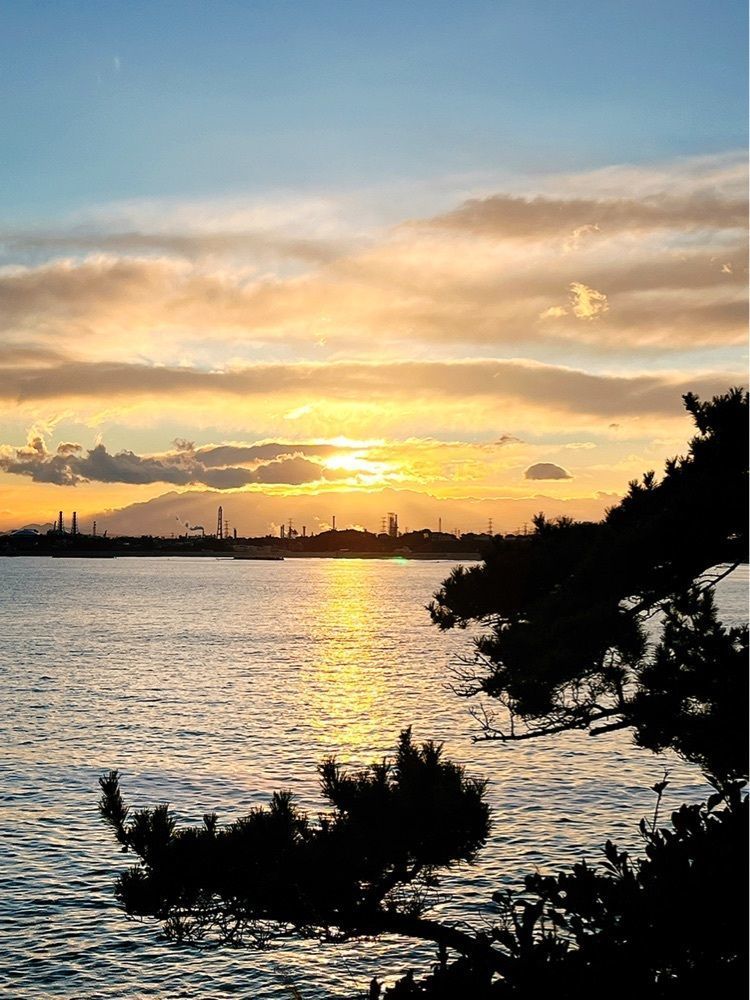 猫なぎ。さんが投稿した七ヶ浜うみの駅松島湾海鮮市場七のやに関する口コミの画像