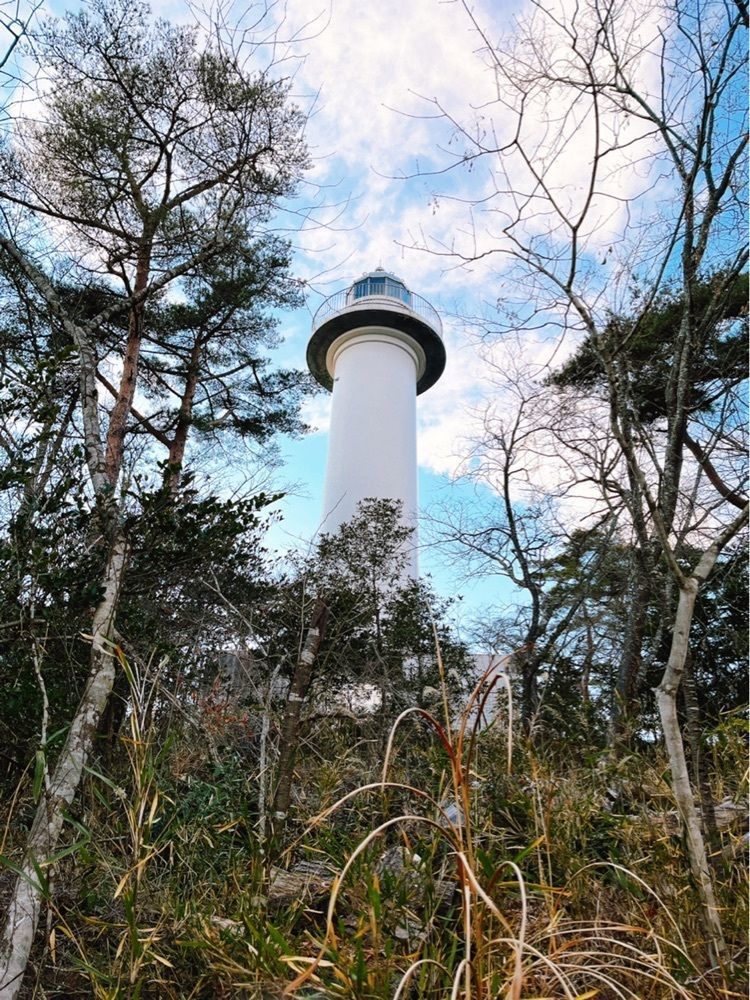 猫なぎ。さんが投稿した七ヶ浜うみの駅松島湾海鮮市場七のやに関する口コミの画像